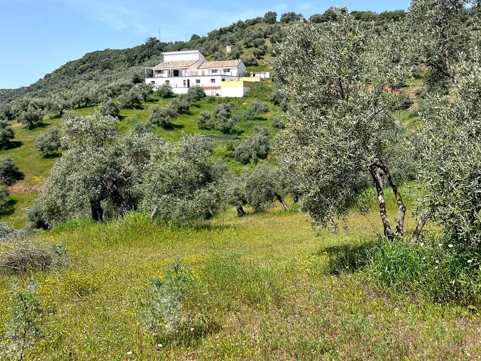Landejendom i Montoro, Cordoba - foto 4